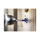 Accessori Bosch Bosch Selfcut Flachfrässshrer 30x152mm Expert