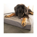 Flamingo Dog At Home Custine Carlota Grey M