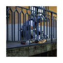 Bosch Professional Zubehör Baumaschine Diamanttrennscheibe X-LOCK Metal Wheel 125x22.23mm