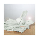 roba Schmusetuch Lil Planet frosty green