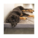 Flamingo Dog At Home Custine Carlota Grey M