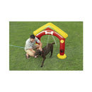 Bestway dog ​​at home fetchin` Fun water sprinkler for pets