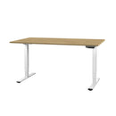 Contini office furniture height adjustable office table 1.6x0.8m oak / frame white RAL 9016