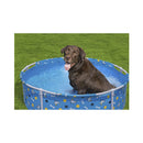 Bestway Hund zu Hause Fetchin` Fun Pool für Haustiere