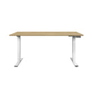 Contini office furniture height adjustable office table 1.6x0.8m oak / frame white RAL 9016