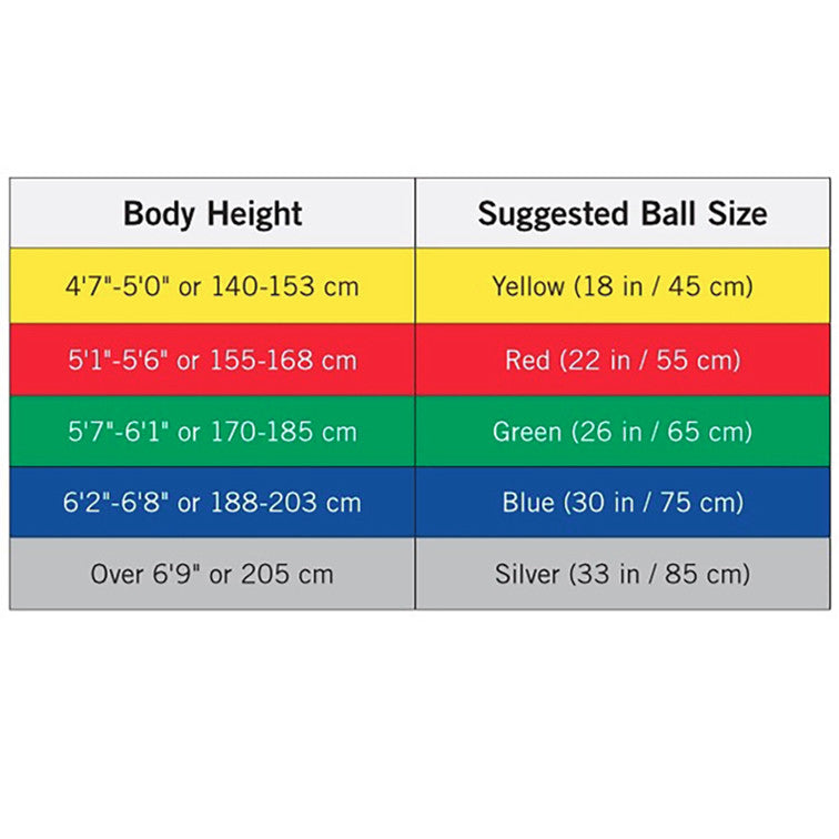 Hygenic Fitnessball PRO Series SCP Gymnastikball