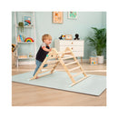 Les enfants de TP Toy grimpant Triangle FSC