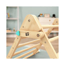 Les enfants de TP Toy grimpant Triangle FSC