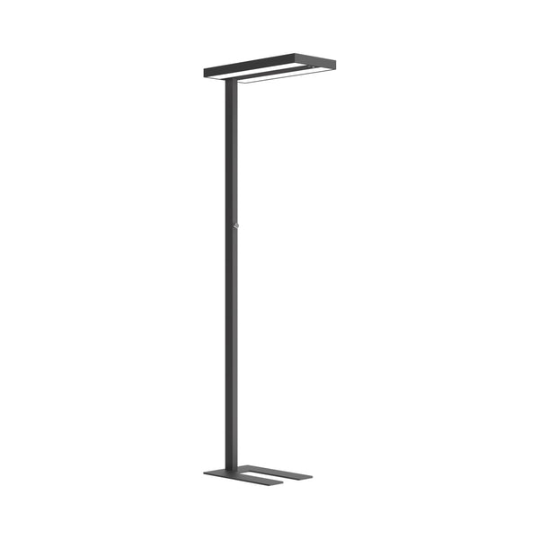 Contini office furniture LED office standing lamp dimmable anthracite