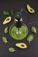 Hendi Hand Blender 220-240V / 250W