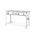 Hendi Gastro-Grill Gas Master Quattro