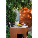 Nouvel fire bowl quadro ruggine