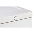 Domo Freezer DO91134F, 80 litres, classe d'énergie C