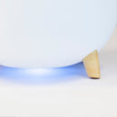 Duux Luftbefeuchter DXHU01 Ovi Evaporative