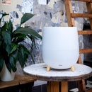 Duux Luftbefeuchter DXHU01 Ovi Evaporative