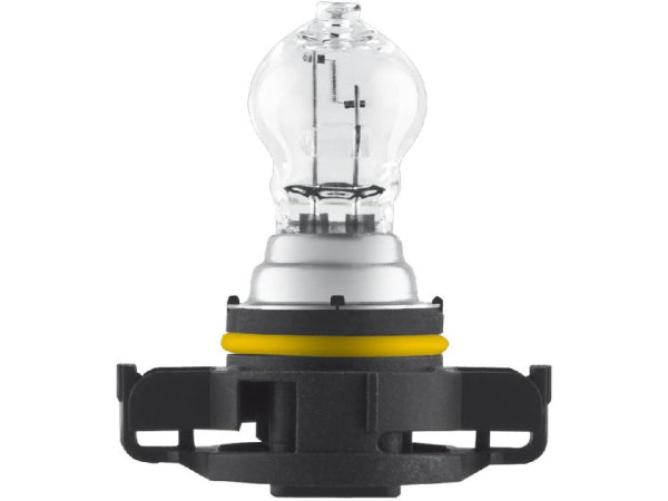 OSRAM replacement lamp light bulb 12V 19W PG20-1